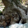 2007.04.01. - Samothraki